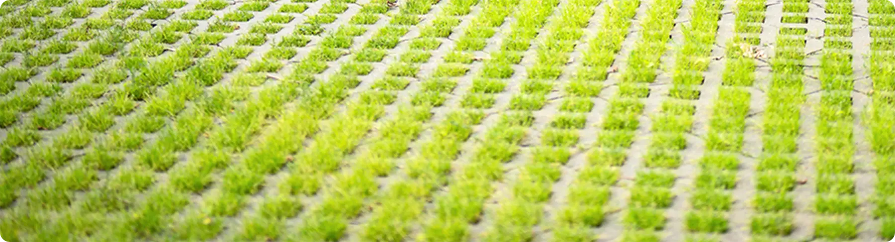 特徴04:環境への配慮を表す画像