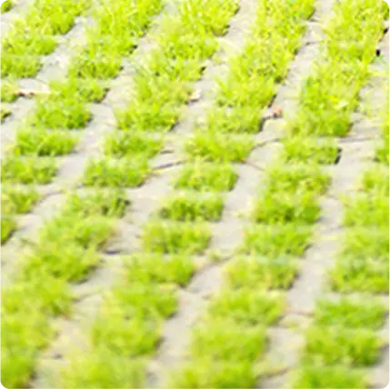 緑化ブロック施工例を表す画像